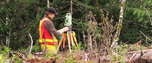 Types of Topographical Survey