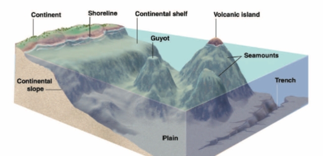 Underwater Topography Maps Offshore Exploration Undersea