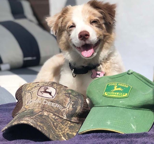 john deere owners hat