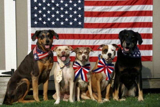 American Flag Bandana