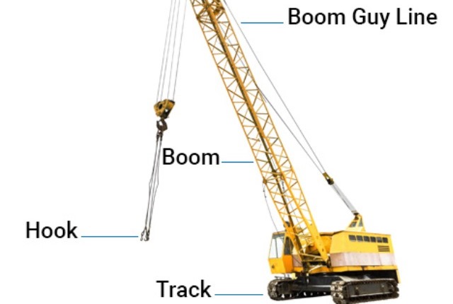 labelled crane