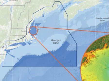 do c map charts work in lowarance