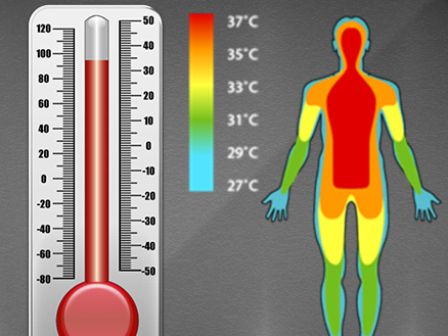 36.8°C (98.24°F): Anything Above in Human Body May be Fever