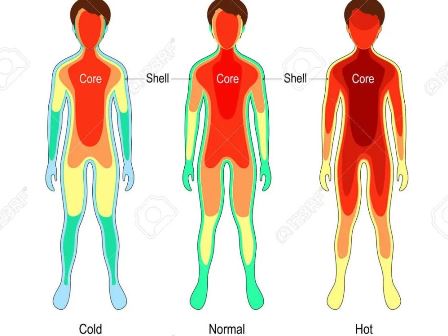 Human Body Temperature