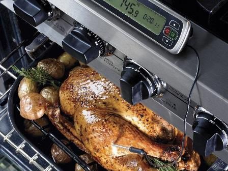 Leave-in Meat Thermometer