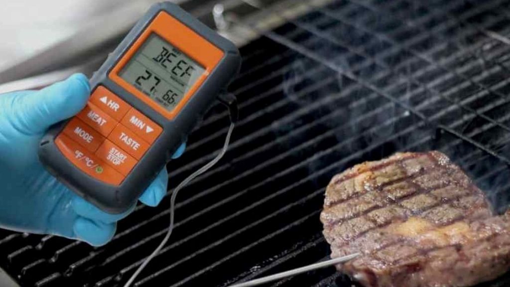 Best Meat Thermometer for Smoking