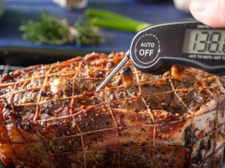 Best Meat Thermometer for Smoking